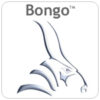 Bongo 2