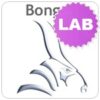 Bongo 2 LabKit